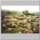 Limestone Pavement