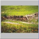 Tarn Bar Near Horton-in-Ribblesdale