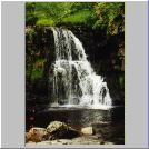 East Gill Force