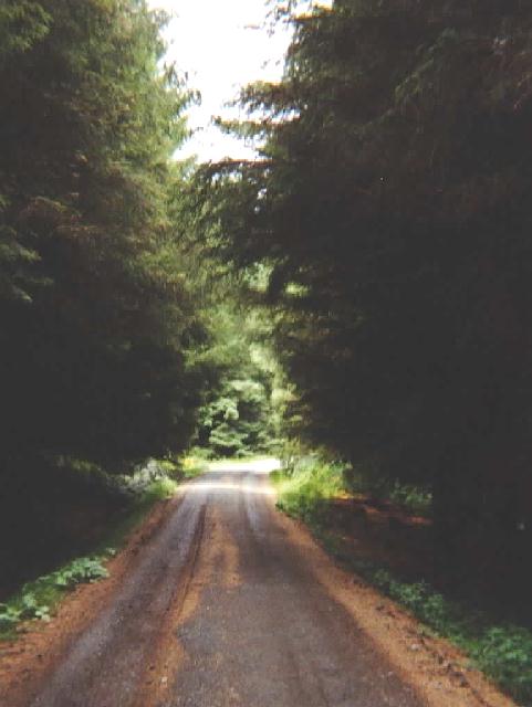 {short description of image}